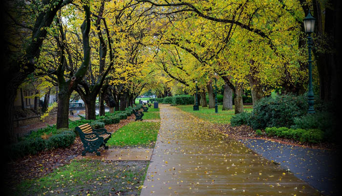 Photo of Rosalind Park, Bendigo in the autumn